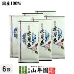 日本茶 お茶 煎茶 茶葉 水見色100g×6袋セット 送料無料 煎茶 茶葉 国産 葉酸 緑茶 ギフト 母の日 父の日 プチギフト お茶 2024 内祝い プレゼント 還暦祝い 男性 女性 父 母 贈り物 香典返し 引越し 挨拶品 お土産 お祝い 誕生日 祖父 祖母 お礼 夫婦