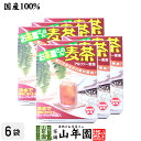 麦茶 国産 むぎ茶 10g×16袋×6箱セット 送料無料 美味しい麦茶 安心安全の麦茶 父の日 お中元 プチギフト お茶 2025 ギフト プレゼント 内祝い 還暦祝い 男性 女性 父 母 贈り物 香典返し 引越し 挨拶品 お祝い 人気 贈物 お土産 おみやげ 誕生日 祖母 お礼