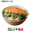 【高級 ギフト】鮭茶漬け 送料無料 具材が丸ごと乗った お茶漬け ギフト プレゼント 鮭 しゃけ シャケ 鮭茶漬け お茶…