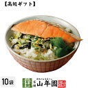 【高級 ギフト】鮭茶漬け×10袋セット 送料無料 具材が丸ごと乗った お茶漬け ギフト プレゼント 鮭 しゃけ シャケ 鮭茶漬け お茶漬けの素 高級 内祝い 贈り物 お土産 お茶づけ プレゼント 還暦祝い 男性 母の日 父の日 プチギフト お茶 2024 お祝い 香典返し