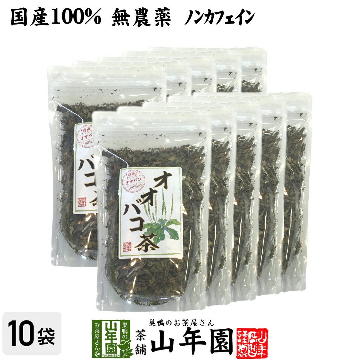 【国産 100%】オオバコ茶 100g×10袋セット 無農薬 ノンカフェイン 宮崎県産 送料無料 オオバコ オオバ..