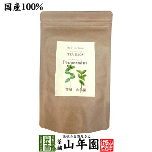【国産 100%】ペパーミントティー ハーブティー 2g×15パック 熊本県産 ノンカフェイン 無農薬 送料無料 ティーバッグ ティーパック リーフ ペパーミント茶 健康茶 妊婦 ダイエット セット 苗 ギフト プレゼント バレンタイン プチギフト お茶 2021 内祝い