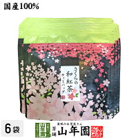 【国産100%】さくらの和紅茶 2g×5パック×6袋セット 送料無料 静岡県産紅茶 小田原産の桜 国産 サクラ 日本茶 桜 ティーバッグ 桜茶 さくら茶 紅茶 ティーパック ギフト プレゼント 内祝い お返し お年賀 お年始 プチギフト 2023 お茶 男性 女性 父 母 お祝い