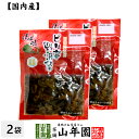【国産原料使用】沢田の味 野沢菜漬 80g×2袋セット送料無料 自然と健康の郷 群馬県吾妻郡産 健康 ダイエット ギフト プレゼント 母の日 父の日 プチギフト...