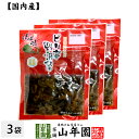 【国産原料使用】沢田の味 野沢菜漬 80g×3袋セット送料無料 自然と健康の郷 群馬県吾妻郡産 健康 ダイエット ギフト プレゼント 母の日 父の日 プチギフト...