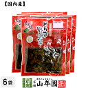 【国産原料使用】沢田の味 野沢菜漬 80g×6袋セット送料無料 自然と健康の郷 群馬県吾妻郡産 健康 ダイエット ギフト プレゼント 母の日 父の日 プチギフト...