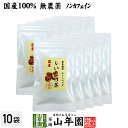 【国産100%】しいたけ茶 ティーパック 無農薬 3g×10パック×10袋セット 静岡県産 送料無料 ノンカフェイン 原木乾燥しいたけ 椎茸茶 シイタケ茶 ティーバッグ ギフト プレゼント 母の日 父の日 プチギフト お茶 2024 内祝い お返し 男性 女性 彼氏 彼女