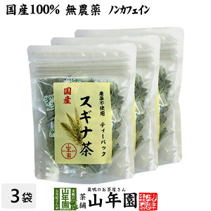 【国産 100%】スギナ茶 ティーパック 1.5g×20パック×3袋セット 無農薬 ノンカフェイン 宮崎県産 送料無料 ティーバッグ すぎな茶 健康茶 妊婦 ダイエット スギナ すぎな 国産 食物繊維 茶葉 ギフト プレゼント 敬老の日 プチギフト お茶 2023 内祝い