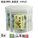 【国産 100%】スギナ茶 ティーパック 1.5g×20パック×6袋セット 無農薬 ノンカフェイン 宮崎県産 送料無料 ティーバッグ すぎな茶 健康茶 妊婦 ダイエット スギナ すぎな 国産 食物繊維 茶葉 ギフト プレゼント 母の日 父の日 プチギフト お茶 2024 内祝い