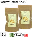 【国産100%】生姜茶 ジンジャーティー 2g×12パック×2袋セット 生姜100% 熊本県産 送料無料 無添加 ノンカフェイン ショウガ茶 しょうが茶 ギフト プレゼント 母の日 父の日 プチギフト お茶 2024 内祝い お返し 男性 女性 彼氏 彼女 父 母 夫婦 贈り物