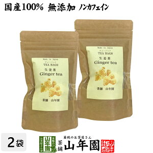 【国産100%】生姜茶 ジンジャーティー 2g×12パック×2袋セット 生姜100% 熊本県産 送料無料 無添加 ノンカフェイン ショウガ茶 しょうが茶 ギフト プレゼント バレンタイン プチギフト お茶 2021 内祝い お返し 男性 女性 彼氏 彼女 父 母 夫婦 贈り物