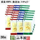 【国産100%】生姜茶 ジンジャーティー 2g×5パック×30袋セット 生姜100% 国産 送料無料 無添加 ノンカフェイン ショウガ茶 しょうが茶 ギフト プレゼント 父の日 お中元 プチギフト お茶 2025 内祝い お返し 男性 女性 彼氏 彼女 父 母 夫婦 贈り物