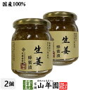 【国産生姜】養蜂家のはちみつ仕込み 生姜蜂蜜漬け 280g 2個セット送料無料 紅茶に入れて 豚の生姜焼き 煮物や豚肉を使った煮込み料理にも セット ギフト プレゼント 母の日 父の日 プチギフト…