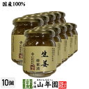 【国産生姜】養蜂家のはちみつ仕込み 生姜蜂蜜漬け 280g×10個セット送料無料 紅茶に入れて 豚の生姜焼き 煮物や豚肉を使った煮込み料理にも セット ギフト ...
