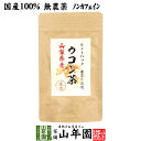 【国産 無農薬 100%】ウコン茶 1.5g×10包 ティーバッグ うこん 山梨県産 ノンカフェイン 送料無料 ウコン茶 うこん ウコン茶 サプリ セット ギフト プレゼント 父の日 お中元 プチギフト お茶 2025 内祝い お返し