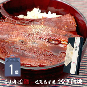 【国産100%】鹿児島県産 うなぎ蒲焼 135g 常温保存可能 たれ 山椒付き あす楽 送料無料 うなぎのかば焼き うなぎの蒲焼き 鰻蒲焼 国産うなぎ 健康 ダイエット ギフト プレゼント 父の日 お中元 プチギフト お茶 内祝い 2021 通販 早割 土曜の丑の日