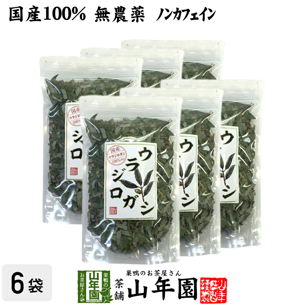 楽天巣鴨のお茶屋さん 山年園【国産 100％】ウラジロガシ茶 100g×6袋セット 宮崎県産 ノンカフェイン 無農薬 送料無料 ウラジロガシ 健康茶 妊婦 ダイエット ウラジロガシ流石粒 結石 サプリ セット ギフト プレゼント 母の日 父の日 プチギフト お茶 2024 内祝い お返し