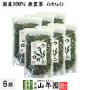 【国産 100%】ウラジロガシ茶 100g×6袋セット 宮崎県産 ノンカフェイン 無農薬 送料無料 ウラジロガシ 健康茶 妊婦 ダイエット ウラジロガシ流石粒 結石 サプリ セット ギフト プレゼント 母の日 父の日 プチギフト お茶 2024 内祝い お返し