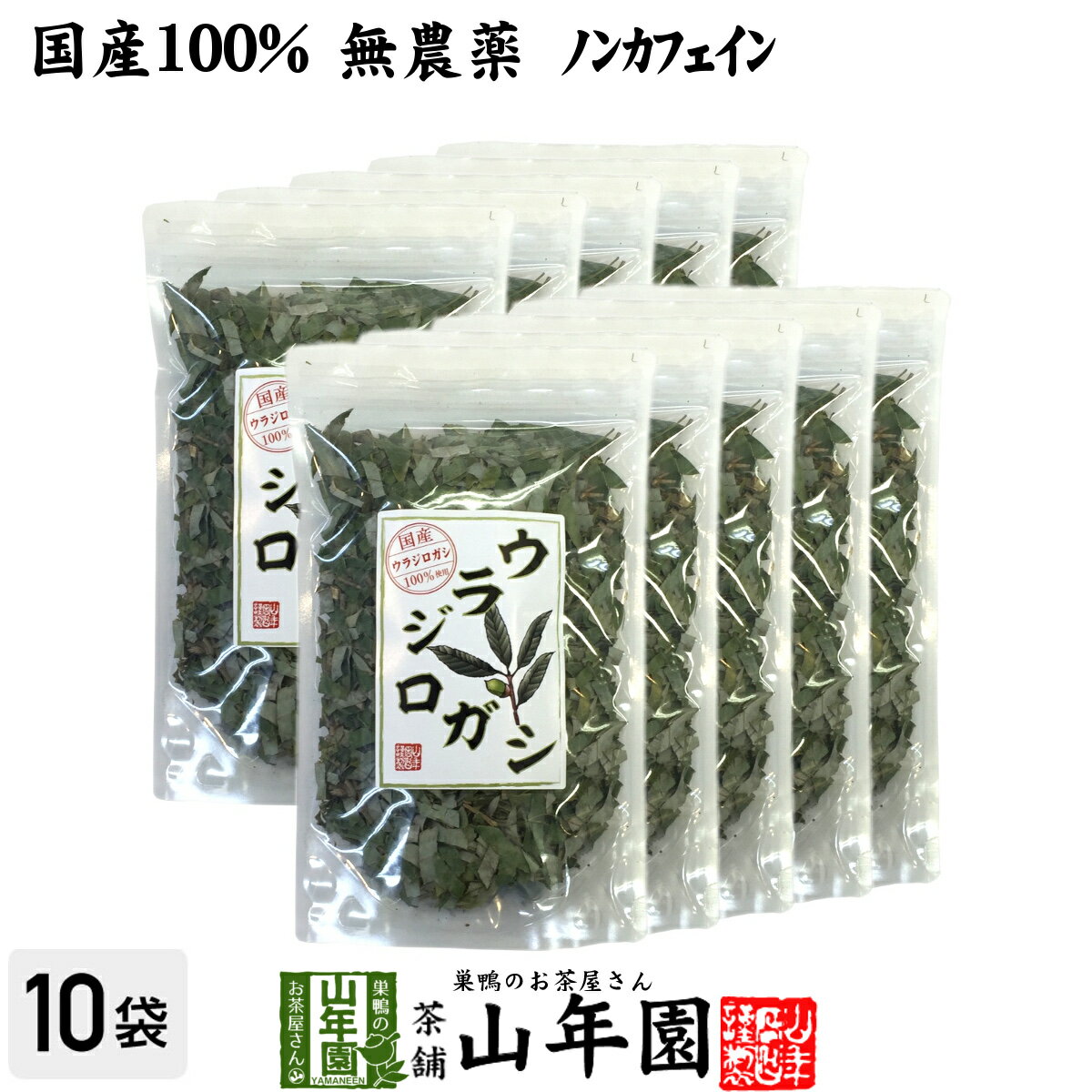 楽天巣鴨のお茶屋さん 山年園【国産 100％】ウラジロガシ茶 100g×10袋セット 宮崎県産 ノンカフェイン 無農薬 送料無料 ウラジロガシ 健康茶 妊婦 ダイエット ウラジロガシ流石粒 結石 サプリ セット ギフト プレゼント 母の日 父の日 プチギフト お茶 2024 内祝い お返し