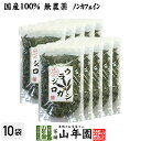 【国産 100%】ウラジロガシ茶 100g×10袋セット 宮崎県産 ノンカフェイン 無農薬 送料無料 ウラジロガシ 健康茶 妊婦 ダイエット ウラジロガシ流石粒 結石 サプリ セット ギフト プレゼント 父の日 御中元 プチギフト お茶 2023 内祝い お返し