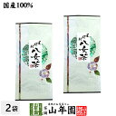 日本茶 お茶 煎茶 茶葉 八女茶 100g×2袋セット 送料無料 煎茶 緑茶 ギフト お中元 御中元 プチギフト お茶 2025 内祝い プレゼント 還暦祝い ...