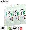 日本茶 お茶 煎茶 茶葉 八女茶 100g×3袋セット 送料無料 煎茶 緑茶 ギフト 母の日 父の日 プチギフト お茶 2024 内祝い プレゼント 還暦祝い 男性 女性 父 母 贈り物 香典返し お土産 おみやげ お祝い 誕生日 祖父 祖母 おじいちゃん おばあちゃん お礼