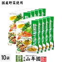 【国産野菜使用】野菜ブイヨン 4g×30パック×10袋セット 粉末タイプ 6種類の国産野菜を使用 送料無料 パウダー ブロッコリー キャベツ にんじん 玉ねぎ ...