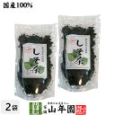 【国産 100%】しそ茶 青しそ茶 30g×2袋セット ノンカフェイン 熊本県産 送料無料 しそ緑茶 シソ茶 紫蘇茶 シソ緑茶 紫蘇緑茶 健康茶 妊婦 ダイエット 贈り物 ギフト プレゼント お歳暮 プチギフト お茶 2023 内祝い お返し