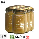 【国産】信州産林檎バター 150g×6個セットりんごバター アップルバター APPLE BUTTER Made in Japan 送料無料 国産 緑茶 ダイエッ...