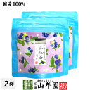 【国産紅茶】ブルーベリーの和紅茶 2g×5パック×2袋セット 送料無料 静岡県産紅茶 ブルーベリーティ 国産紅茶 日本茶 ブルーベリー ティーバッグ 紅茶 ティ...