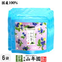 【国産紅茶】ブルーベリーの和紅茶 2g×5パック×6袋セット 送料無料 静岡県産紅茶 ブルーベリーティ 国産紅茶 日本茶 ブルーベリー ティーバッグ 紅茶 ティ...