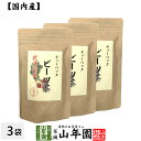 【国産100%】ビーツ茶 ティーバッグ 北海道産 ノンカフェイン 23g(2.3g×10p)×3袋セット 送料無料 beets tea 国産 ビート ウズマキダ...