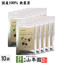 国産100% 青森県産 無農薬 無添加 ブラックベリー粉末 40g×10袋セットキイチゴ ポリフェノール アントシアニン ビタミン 送料無料 健康食品 妊婦 ダイエット セット ギフト プレゼント 母の日 父の日 プチギフト お茶 2024 内祝い お返し