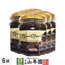 プレミアム ブルーベリーバター 200g×6個セット希少糖入り 藍苺 ブルーベリージャム BLUEBERRY BUTTER Made in Japan 送料無料...