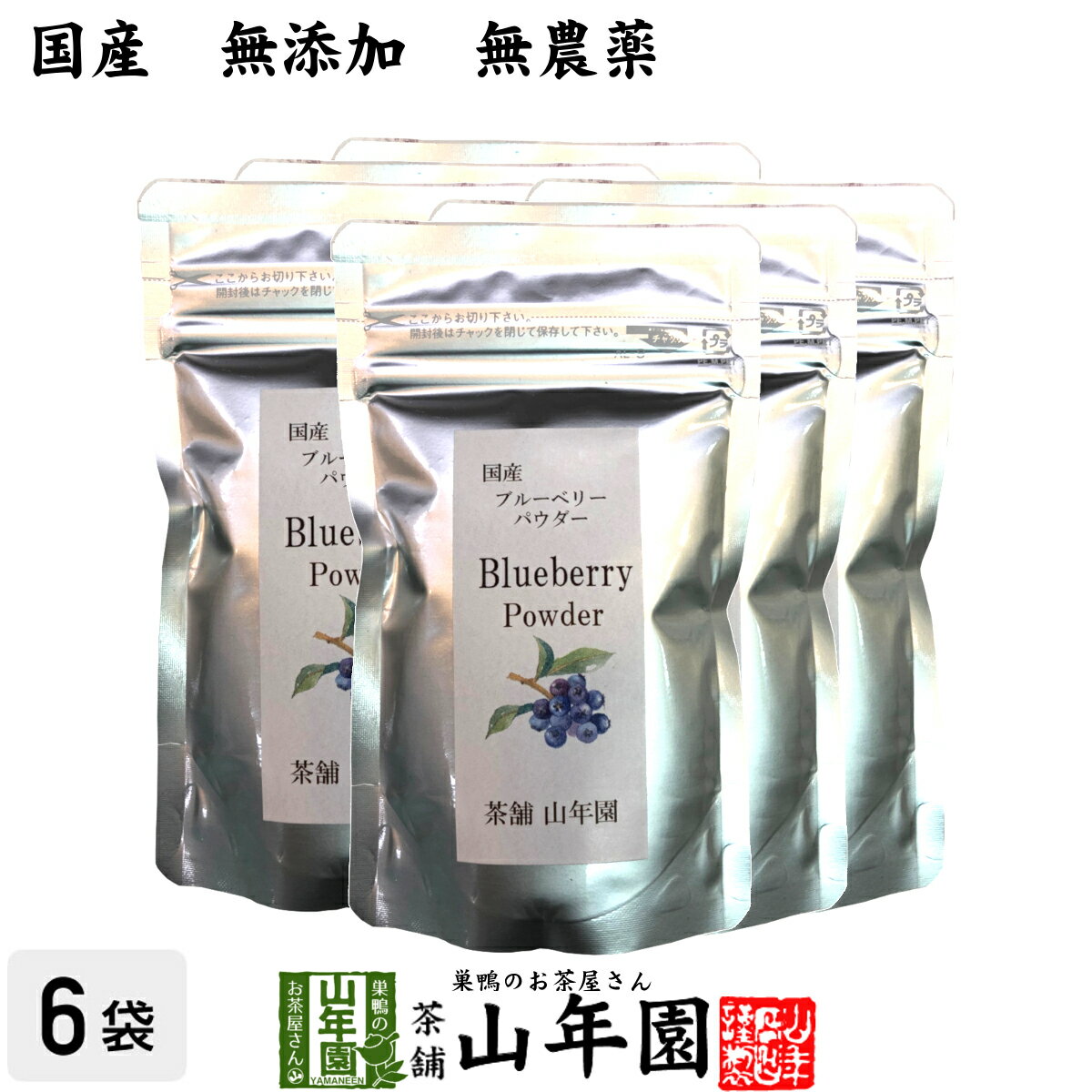 【国産】 ブルーベリー粉末 50g×6袋セット 無農薬で栽培されたブルーベリーを粉末に 無添加 果実本来の..