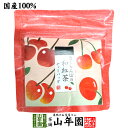 【国産紅茶】さくらんぼの和紅茶 2g×5パック 送料無料 静岡県産紅茶 さくらんぼティ 国産紅茶 日本茶 さくらんぼ ティーバッグ 紅茶 ティーパック ダイエット ギフト プレゼント 内祝い お返し 母の日 父の日 プチギフト 2024 お茶 男性 女性 父 お祝い 誕生日