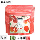 【国産紅茶】さくらんぼの和紅茶 2g×5パック×6袋セット 送料無料 静岡県産紅茶 さくらんぼティ 国産紅茶 日本茶 さくらんぼ ティーバッグ 紅茶 ティーパック ダイエット ギフト プレゼント 内祝い お返し 母の日 父の日 プチギフト 2024 お茶 女性 お祝い 誕生日