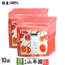 【国産紅茶】さくらんぼの和紅茶 2g×5パック×10袋セット 送料無料 静岡県産紅茶 さくらんぼティ 国産紅茶 日本茶 さくらんぼ ティーバッグ 紅茶 ティーパ...