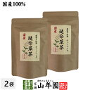 国産100% 無農薬 延命草茶 3g×15パック×2袋セット ティーパック ティーバッグシソ科ヒキオコシ 送料無料 健康茶 妊婦 ダイエット セット ギフト プ...