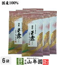 日本茶 お茶 煎茶 茶葉 深蒸し玉露茶 100g×6袋セット 送料無料 煎茶 国産 緑茶 ギフト 父の日 お中元 プチギフト お茶 2025 内祝い お返し プレゼント 還暦祝い 男性 女性 父 母 贈り物 香典返し お土産 おみやげ お祝い 誕生日 祖父 祖母 お礼 夫婦