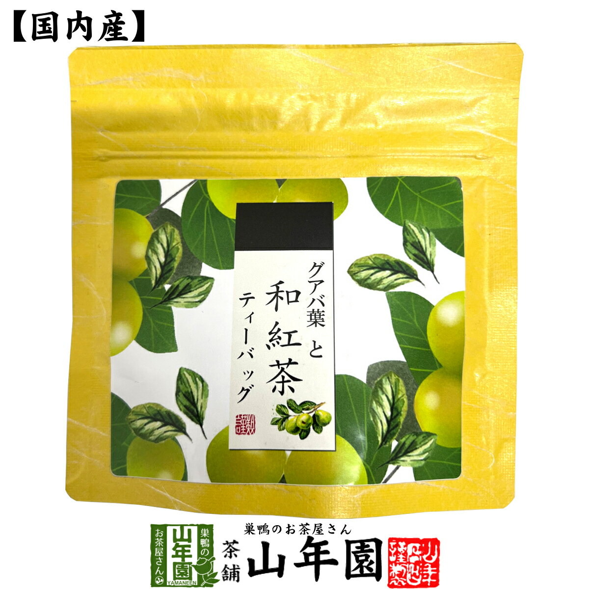 グアバ葉と和紅茶 2g×5パック 送料無料 静岡県産紅茶 グアバの葉 国産紅茶 日本茶 グァバ ティーバッグ 紅茶 ティーパック ダイエット ギフト プレゼント 内祝い お返し 父の日 お中元 プチギフト 2024 お茶 男性 女性 父 お祝い 誕生日