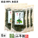 【国産 100%】グァバ茶 70g×6袋セット ノンカフェイン 九州産 無農薬 送料無料 グアバ茶 健康茶 妊婦 ダイエット ティーバッグ サプリ 苗 セット ギフト プレゼント お歳暮 御歳暮 プチギフト お茶 2025 内祝い お返し