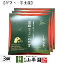 【京都 舞妓の茶】玉露ちょこおかき 9個入(個包装)×3箱セット送料無料 外はサクッと中はしっとりした新食感サクサクおかきに、京都産の玉露を贅沢に使用した玉露チ...
