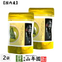 日本茶 お茶 茶葉 八女産 玉露 40g(5g×8包)×2袋セット福岡県八女 八女産高級茶 健康 送料無料 国産 緑茶 お中元 御中元 ギフト プレゼント プチギフト お茶 内祝い 2025 還暦祝い 男性 女性 父 母 贈り物 香典返し 挨拶 お土産 出産 お祝い 誕生日