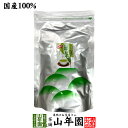 業務用 緑茶 煎茶 ティーバッグ 5g×100p 茶葉厳選 本格的 送料無料 ティーパック 冷水でもHOTでもおいしい 妊婦 ダイエット 食物繊維 贈り物 ギフト プレゼント お中元 御中元 プチギフト お茶 2025 内祝い お返し