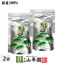 業務用 緑茶 煎茶 ティーバッグ 5g×100p×2袋セット 茶葉厳選 本格的 送料無料 ティーパック 冷水でもHOTでもおいしい 妊婦 ダイエット 食物繊維 ...