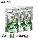 緑茶 煎茶 ティーバッグ 5g×100p×3袋セット 茶葉厳選 本格的 送料無料 ティーパック 冷水でもHOTでもおいしい 妊婦 ダイエット 食物繊維 贈り物 ギフト プレゼント 母の日 父の日 プチギフト お茶 2024 内祝い お返し