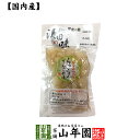 【国産原料使用】沢田の味 らっきょうりんご 甘酢漬 100g送料無料 自然と健康の郷 群馬県吾妻郡産 健康 ダイエット ギフト プレゼント 母の日 父の日 プチギフト お茶 内祝い チャイ 2025