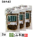 【国産原料使用】沢田の味 ピリ辛白うりしょうが漬 100g×3袋セット送料無料 自然と健康の郷 群馬県吾妻郡産 健康 ダイエット ギフト プレゼント 母の日 父...