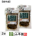 【国産原料使用】沢田の味 ピリ辛白うりしょうが漬 100g×2袋セット送料無料 自然と健康の郷 群馬県吾妻郡産 健康 ダイエット ギフト プレゼント 母の日 父...